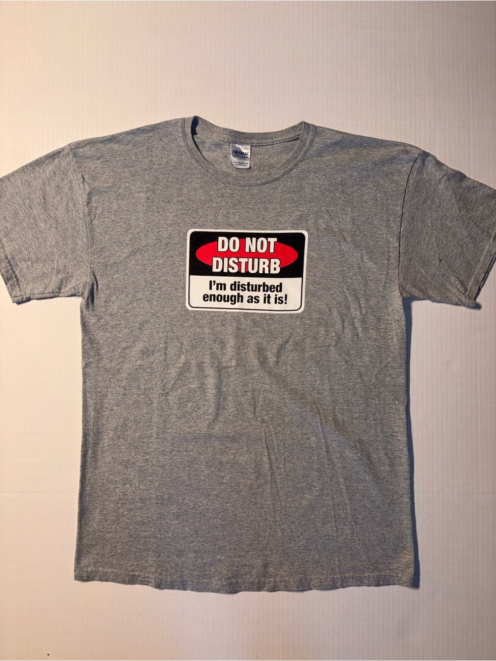 Vtg Do Not Disturb I’m Disturbed Enough Humor Novelty Y2K Graphic T-Shirt Sz L